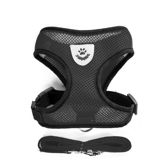 Correa de cuero para perros – Elegancia y resistencia