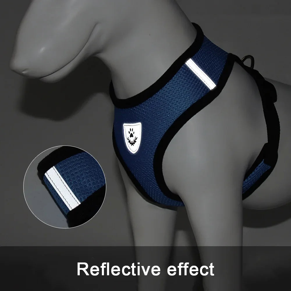 Correa de cuero para perros – Elegancia y resistencia