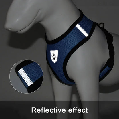 Correa de cuero para perros – Elegancia y resistencia