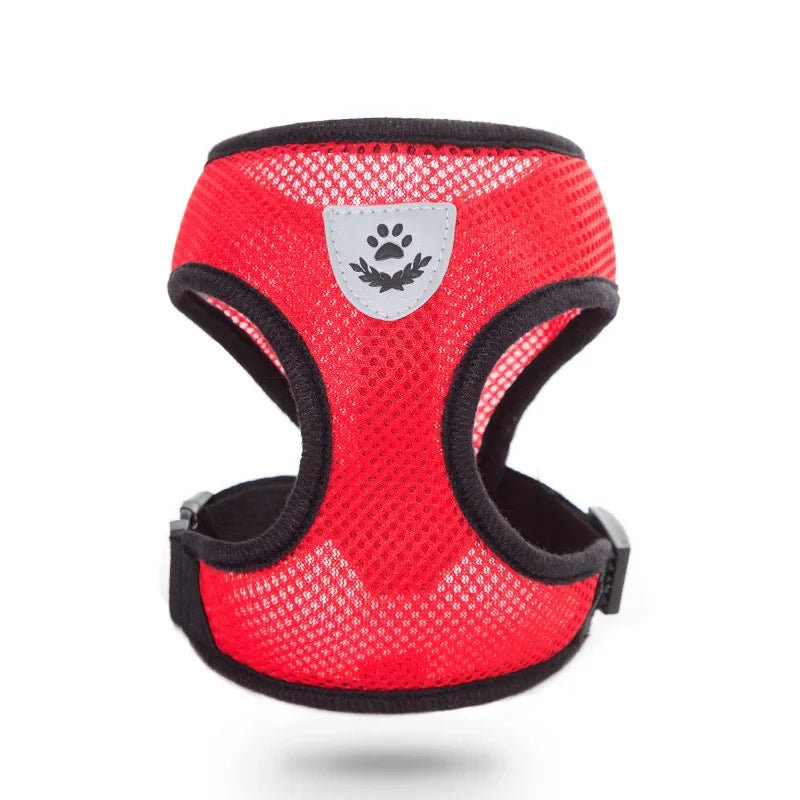 Correa de cuero para perros – Elegancia y resistencia