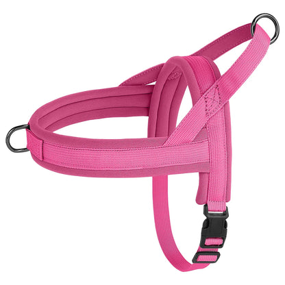  Arnés para perros pequeños y medianos – Ajustable y cómodo