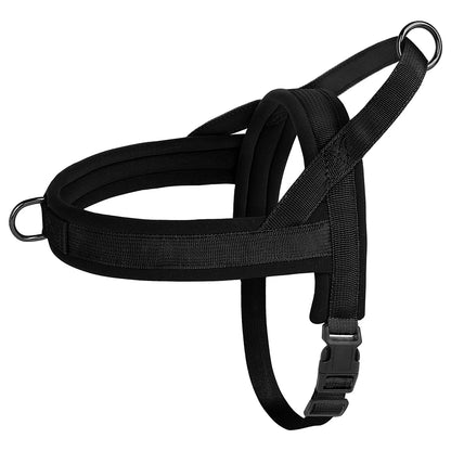  Arnés para perros pequeños y medianos – Ajustable y cómodo