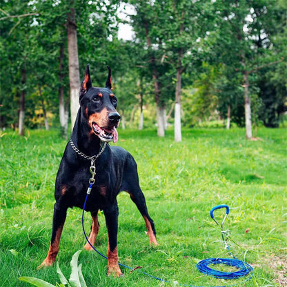Pet P – Collar de cadena de serpiente para perros