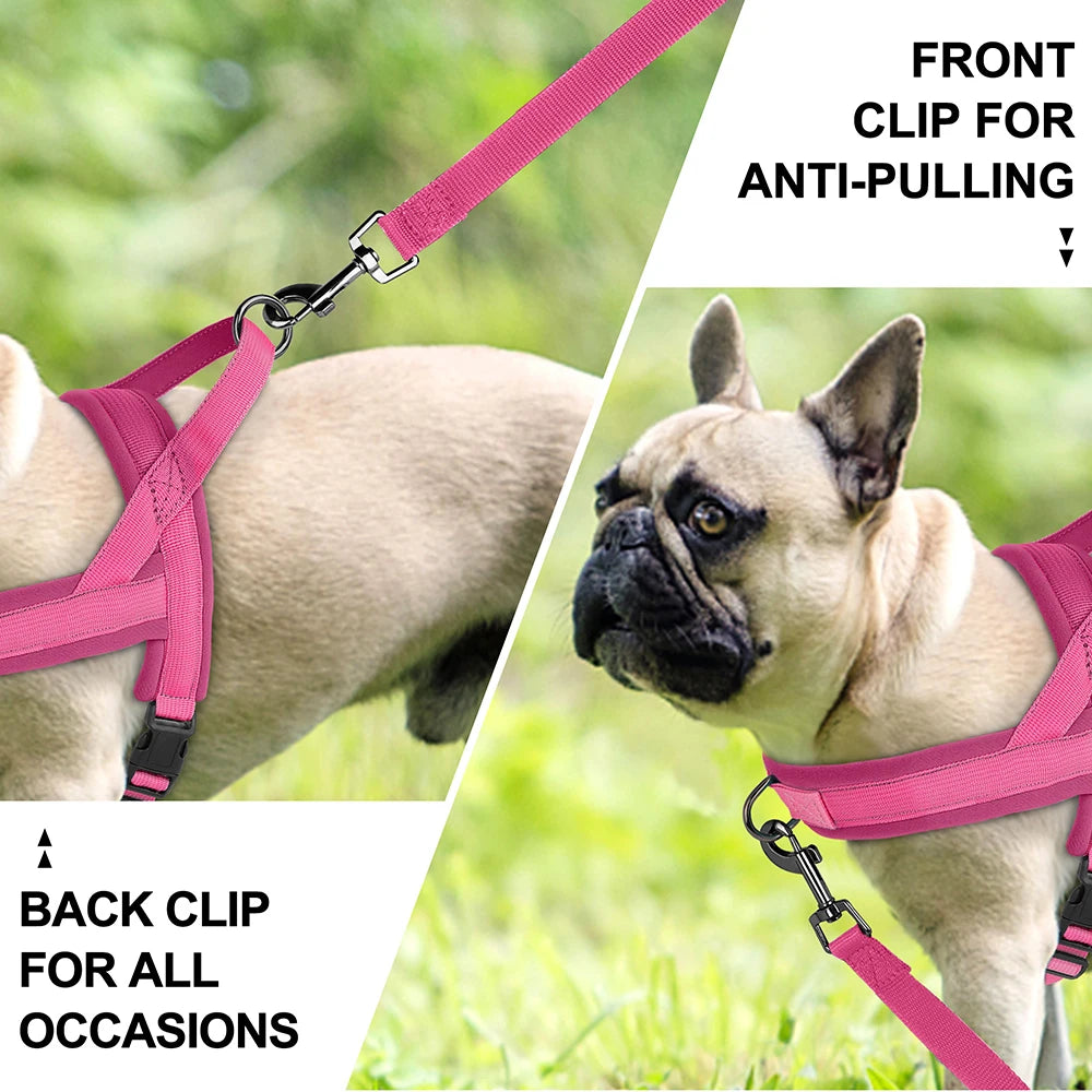  Arnés para perros pequeños y medianos – Ajustable y cómodo