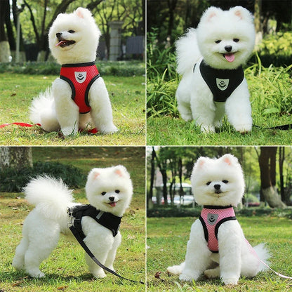 Correa de cuero para perros – Elegancia y resistencia