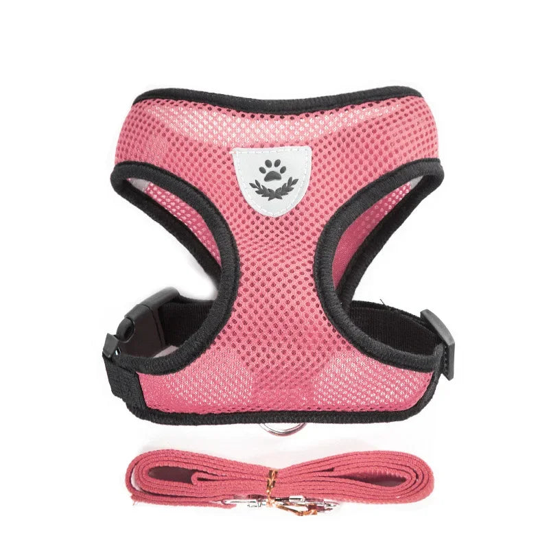 Correa de cuero para perros – Elegancia y resistencia
