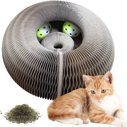 Magic Cat Scratch Organ Board Cat Toy with Ball 