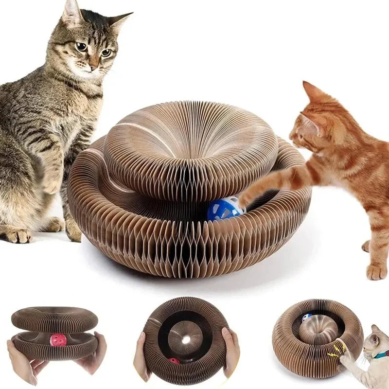 Magic Cat Scratch Organ Board Cat Toy with Ball 