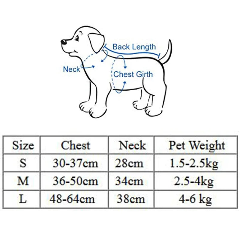 Correa de cuero para perros – Elegancia y resistencia