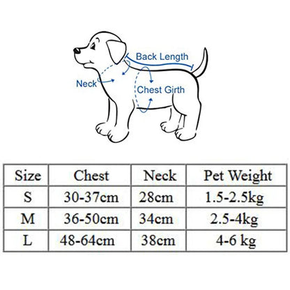Correa de cuero para perros – Elegancia y resistencia