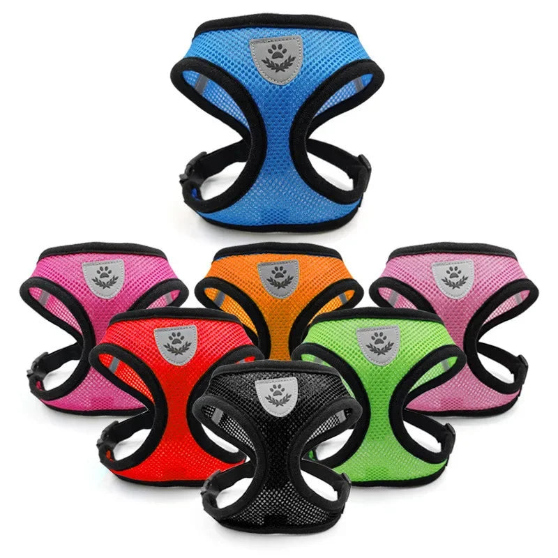 Correa de cuero para perros – Elegancia y resistencia