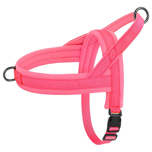  Arnés para perros pequeños y medianos – Ajustable y cómodo