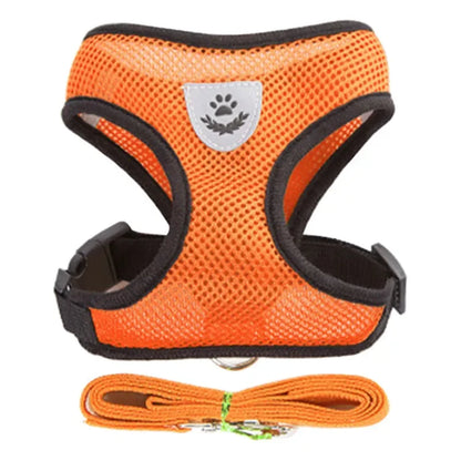 Correa de cuero para perros – Elegancia y resistencia